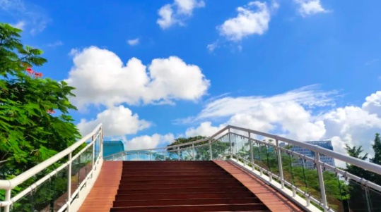 南沙企業榮登全球燈塔網絡 引領制造業數字化轉型新篇章